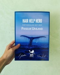Hair Help Hero